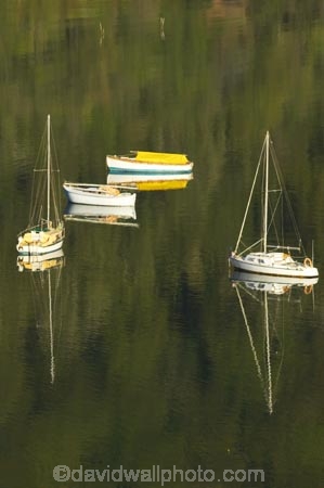 boat;boats;calm;calmness;fishing-boats;harbor;harbors;harbour;harbours;hull;hulls;launch;launches;marina;marinas;Marlborough;Marlborough-Sounds;mast;masts;moor;mooring;moorings;New-Zealand;peaceful;peacefulness;Picton;port;ports;Queen-Charlotte-Sound;reflection;reflections;sail;sailing;Shakespeare-Bay;South-Island;still;stillness;tranquil;tranquility;yacht;yachts