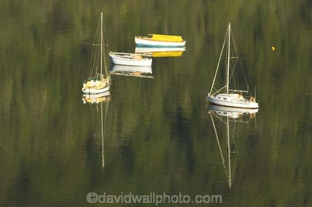 boat;boats;calm;calmness;fishing-boats;harbor;harbors;harbour;harbours;hull;hulls;launch;launches;marina;marinas;Marlborough;Marlborough-Sounds;mast;masts;moor;mooring;moorings;New-Zealand;peaceful;peacefulness;Picton;port;ports;Queen-Charlotte-Sound;reflection;reflections;sail;sailing;Shakespeare-Bay;South-Island;still;stillness;tranquil;tranquility;yacht;yachts