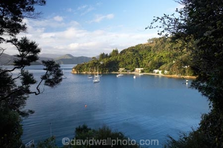 bay;bays;coast;coastal;Marlborough;Marlborough-Sounds;New-Zealand;Picton;Queen-Charlotte-Sound;South-Island;Waikawa-Bay;Wharetukura-Bay