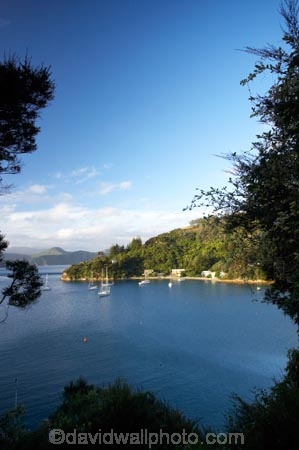 bay;bays;coast;coastal;Marlborough;Marlborough-Sounds;New-Zealand;Picton;Queen-Charlotte-Sound;South-Island;Waikawa-Bay;Wharetukura-Bay