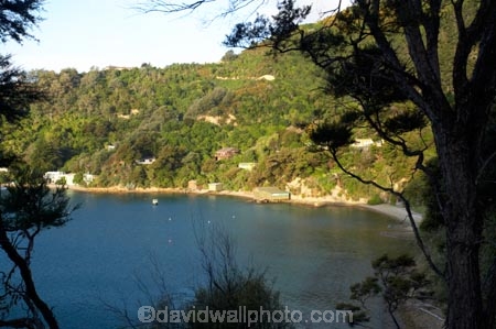 bay;bays;coast;coastal;Marlborough;Marlborough-Sounds;New-Zealand;Picton;Queen-Charlotte-Sound;South-Island;Waikawa-Bay;Wharetukura-Bay