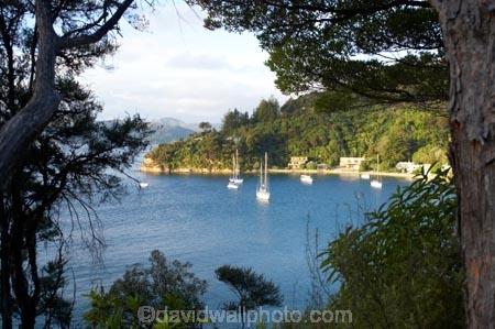bay;bays;coast;coastal;Marlborough;Marlborough-Sounds;New-Zealand;Picton;Queen-Charlotte-Sound;South-Island;Waikawa-Bay;Wharetukura-Bay