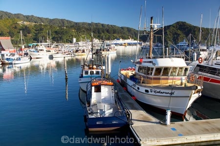 boat;boats;calm;calmness;fishing-boats;harbor;harbors;harbour;harbours;hull;hulls;launch;launches;marina;marinas;Marlborough;Marlborough-Sounds;mast;masts;moor;mooring;moorings;New-Zealand;peaceful;peacefulness;Picton;port;ports;Queen-Charlotte-Sound;reflection;reflections;sail;sailing;South-Island;still;stillness;tranquil;tranquility;yacht;yachts