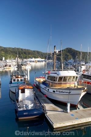 boat;boats;calm;calmness;fishing-boats;harbor;harbors;harbour;harbours;hull;hulls;launch;launches;marina;marinas;Marlborough;Marlborough-Sounds;mast;masts;moor;mooring;moorings;New-Zealand;peaceful;peacefulness;Picton;port;ports;Queen-Charlotte-Sound;reflection;reflections;sail;sailing;South-Island;still;stillness;tranquil;tranquility;yacht;yachts