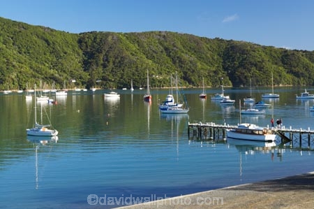 boat;boats;calm;calmness;fishing-boats;harbor;harbors;harbour;harbours;hull;hulls;launch;launches;marina;marinas;Marlborough;Marlborough-Sounds;mast;masts;moor;mooring;moorings;New-Zealand;peaceful;peacefulness;Picton;port;ports;Queen-Charlotte-Sound;reflection;reflections;sail;sailing;South-Island;still;stillness;tranquil;tranquility;Waikawa;Waikawa-Bay;yacht;yachts