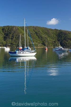 boat;boats;calm;calmness;fishing-boats;harbor;harbors;harbour;harbours;hull;hulls;launch;launches;marina;marinas;Marlborough;Marlborough-Sounds;mast;masts;moor;mooring;moorings;New-Zealand;peaceful;peacefulness;Picton;port;ports;Queen-Charlotte-Sound;reflection;reflections;sail;sailing;South-Island;still;stillness;tranquil;tranquility;Waikawa;Waikawa-Bay;yacht;yachts