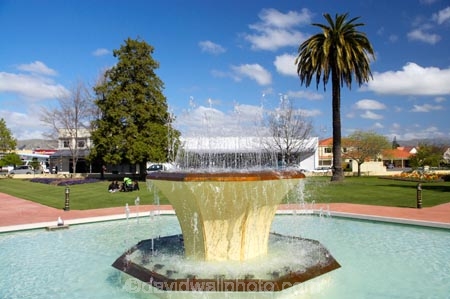 fountain;fountains;Marlborough;New-Zealand;palm;palm-tree;palm-trees;palms;Seymour-Fountain;South-Island