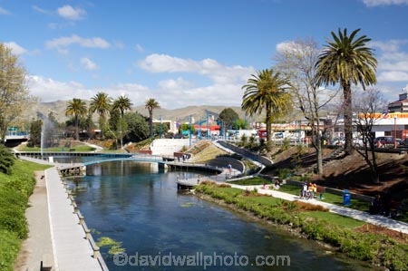 Blenheim;Marlborough;New-Zealand;palm;palm-tree;palm-trees;palms;river;rivers;Riverside-Park;South-Island;Taylor-River;waterside