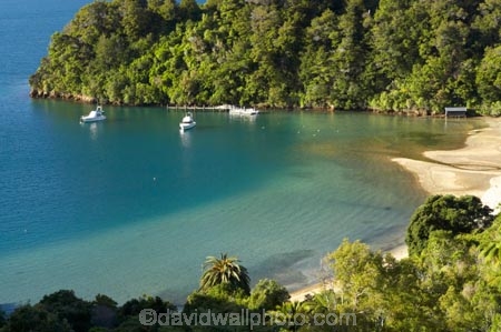 bay;bays;Becks-Bay;coast;coastal;coastline;Grove-Arm;Marlborough;Marlborough-Sounds;moor;mooring;moorings;New-Zealand;Queen-Charlotte-Sound;South-Island;Whenuanui-Bay