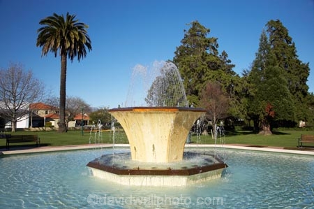 Blenheim;fountain;fountains;Marlborough;N.Z.;New-Zealand;NZ;palm;palm-tree;palm-trees;palms;S.I.;Seymour-Fountain;Seymour-Square;SI;South-Is.;South-Island;water
