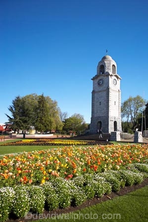 Blenheim;bloom;blooming;blooms;clock-tower;flower;flower-beds;flower-garden;flower-gardens;flowers;fresh;grow;growth;Marlborough;memorial-clock-tower;N.Z.;New-Zealand;NZ;park;parks;renew;S.I.;season;seasonal;seasons;Seymore-Sq;Seymore-Square;Seymour-Square;SI;South-Is.;South-Island;spring;spring-time;spring_time;springtime