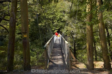 beautiful;beauty;Beech-Forest;boy;boys;bridge;bridges;bush;child;children;endemic;families;family;foot-bridge;foot-bridges;footbridge;footbridges;forest;forests;green;hiking-track;hiking-tracks;kid;kids;little-boy;little-boys;Marlborough;model-release;model-released;mother;mothers;N.Z.;native;native-bush;natives;natural;nature;New-Zealand;Nothofagus;NZ;pedestrian-bridge;pedestrian-bridges;Pelorus-Bridge;people;person;Rai-River;S.I.;scene;scenic;SI;son;South-Is.;South-Island;southern-beeches;suspension-bridge;suspension-bridges;swing-bridge;swing-bridges;track;tracks;tree;trees;walking-track;walking-tracks;wire-bridge;wire-bridges;wood;woods