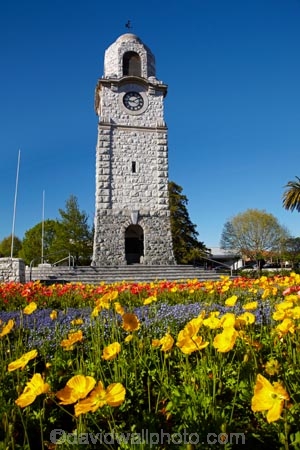 Blenheim;bloom;blooming;blooms;blossom;blossoming;blossoms;clock-tower;floral;flower;flower-beds;flower-garden;flower-gardens;flowers;fresh;grow;growth;heritage;historic;historic-place;historic-places;historic-site;historic-sites;historical;historical-place;historical-places;historical-site;historical-sites;history;Marlborough;memorial-clock-tower;N.Z.;New-Zealand;NZ;old;park;parks;renew;S.I.;season;seasonal;seasons;Seymore-Sq;Seymore-Square;Seymour-Square;SI;South-Is;South-Is.;South-Island;spring;spring-time;spring_time;springtime;Sth-Is;tradition;traditional;war-memorial-clock-tower;yellow