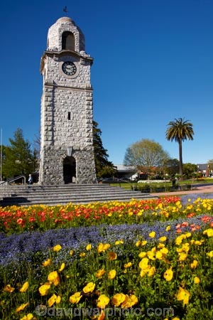 Blenheim;bloom;blooming;blooms;blossom;blossoming;blossoms;clock-tower;floral;flower;flower-beds;flower-garden;flower-gardens;flowers;fresh;grow;growth;heritage;historic;historic-place;historic-places;historic-site;historic-sites;historical;historical-place;historical-places;historical-site;historical-sites;history;Marlborough;memorial-clock-tower;N.Z.;New-Zealand;NZ;old;park;parks;renew;S.I.;season;seasonal;seasons;Seymore-Sq;Seymore-Square;Seymour-Square;SI;South-Is;South-Is.;South-Island;spring;spring-time;spring_time;springtime;Sth-Is;tradition;traditional;war-memorial-clock-tower;yellow