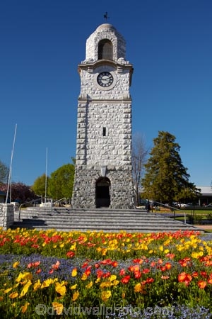 Blenheim;bloom;blooming;blooms;blossom;blossoming;blossoms;clock-tower;floral;flower;flower-beds;flower-garden;flower-gardens;flowers;fresh;grow;growth;heritage;historic;historic-place;historic-places;historic-site;historic-sites;historical;historical-place;historical-places;historical-site;historical-sites;history;Marlborough;memorial-clock-tower;N.Z.;New-Zealand;NZ;old;park;parks;renew;S.I.;season;seasonal;seasons;Seymore-Sq;Seymore-Square;Seymour-Square;SI;South-Is;South-Is.;South-Island;spring;spring-time;spring_time;springtime;Sth-Is;tradition;traditional;war-memorial-clock-tower;yellow