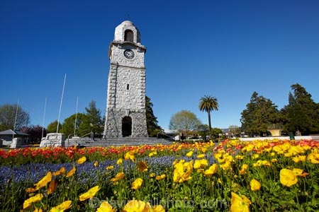 Blenheim;bloom;blooming;blooms;blossom;blossoming;blossoms;clock-tower;floral;flower;flower-beds;flower-garden;flower-gardens;flowers;fresh;grow;growth;heritage;historic;historic-place;historic-places;historic-site;historic-sites;historical;historical-place;historical-places;historical-site;historical-sites;history;Marlborough;memorial-clock-tower;N.Z.;New-Zealand;NZ;old;park;parks;renew;S.I.;season;seasonal;seasons;Seymore-Sq;Seymore-Square;Seymour-Square;SI;South-Is;South-Is.;South-Island;spring;spring-time;spring_time;springtime;Sth-Is;tradition;traditional;war-memorial-clock-tower;yellow