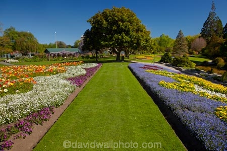 Blenheim;bloom;blooming;blooms;blossom;blossoming;blossoms;Botanic-Garden;Botanic-Gardens;Botanical-Garden;Botanical-Gardens;floral;flower;flower-beds;flower-garden;flower-gardens;flowers;fresh;grow;growth;lilac;Marlborough;mauve;N.Z.;New-Zealand;NZ;park;parks;Pollard-Park;purple;renew;S.I.;season;seasonal;seasons;SI;South-Is;South-Is.;South-Island;spring;spring-time;spring_time;springtime;Sth-Is;tree;trees;violet