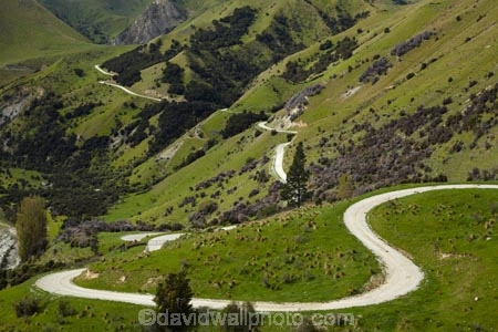 agricultural;agriculture;bend;bends;corner;corners;country;countryside;curve;curves;farm;farming;farmland;farms;field;fields;gravel-road;gravel-roads;Marlborough;meadow;meadows;metal-road;metal-roads;metalled-road;metalled-roads;N.Z.;New-Zealand;NZ;paddock;paddocks;pasture;pastures;road;roads;rural;S.I.;SI;South-Is;South-Is.;South-Island;Sth-Is;unpaved-road;unpaved-roads;Ure-Valley;UreWaima-Valley;Waima-Ure-Valley;Waima-River-Valley;Waima-Valley;WaimaUre-Valley