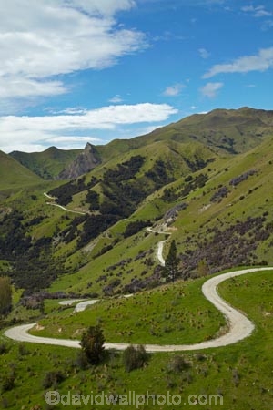agricultural;agriculture;bend;bends;corner;corners;country;countryside;curve;curves;farm;farming;farmland;farms;field;fields;gravel-road;gravel-roads;Marlborough;meadow;meadows;metal-road;metal-roads;metalled-road;metalled-roads;N.Z.;New-Zealand;NZ;paddock;paddocks;pasture;pastures;road;roads;rural;S.I.;SI;South-Is;South-Is.;South-Island;Sth-Is;unpaved-road;unpaved-roads;Ure-Valley;UreWaima-Valley;Waima-Ure-Valley;Waima-River-Valley;Waima-Valley;WaimaUre-Valley