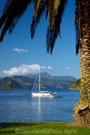 calm;Foreshore-Reserve;Marlborough;Marlborough-Sounds;moor;moored;mooring;moorings;N.Z.;New-Zealand;NZ;palm;palm-tree;palm-trees;palms;park;parks;Picton;Picton-Harbor;Picton-Harbour;placid;Queen-Charlotte-Sound;quiet;reflected;reflection;reflections;S.I.;sail-boat;sail-boats;sailboat;sailboats;serene;SI;smooth;South-Is;South-Island;Sth-Is;still;tranquil;water;yacht;yachts