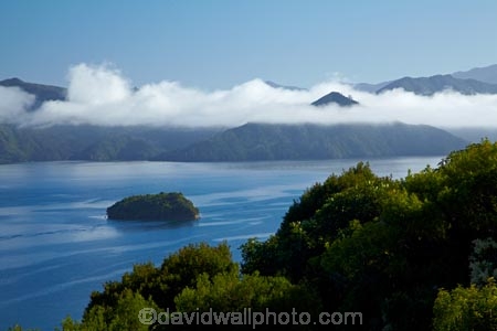 cloud;clouds;cloudy;fog;foggy;low-cloud;Marlborough;Marlborough-Sounds;N.Z.;New-Zealand;NZ;Picton;Queen-Charlotte-Sound;S.I.;SI;South-Is;South-Island;Sth-Is