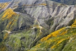 aerial;aerials;exotic-forest;exotic-forestry;exotic-forests;felled;forest;Forestry;forests;marlborough;Marlborough-Sounds;new-zealand;nz;Recently-Felled;Replanted;sounds;south-island
