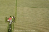 aerial;aerials;agricultural;agriculture;blenheim;country;countryside;crop;crops;cultivate;cultivation;farm;farm-house;farmhouse;farming;farmland;farms;field;fields;grape;grapes;grapevine;horticulture;marlborough;n.z.;New-Zealand;nz;red-roof;row;rows;rural;South-Island;vine;vines;vineyard;vineyards;vintage;wine;wineries;winery;wines