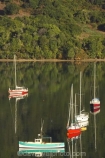 boat;boats;calm;calmness;fishing-boats;harbor;harbors;harbour;harbours;hull;hulls;launch;launches;marina;marinas;Marlborough;Marlborough-Sounds;mast;masts;moor;mooring;moorings;New-Zealand;peaceful;peacefulness;Picton;port;ports;Queen-Charlotte-Sound;reflection;reflections;sail;sailing;Shakespeare-Bay;South-Island;still;stillness;tranquil;tranquility;yacht;yachts