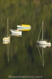 boat;boats;calm;calmness;fishing-boats;harbor;harbors;harbour;harbours;hull;hulls;launch;launches;marina;marinas;Marlborough;Marlborough-Sounds;mast;masts;moor;mooring;moorings;New-Zealand;peaceful;peacefulness;Picton;port;ports;Queen-Charlotte-Sound;reflection;reflections;sail;sailing;Shakespeare-Bay;South-Island;still;stillness;tranquil;tranquility;yacht;yachts