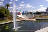 amphitheatre;amphitheatres;Blenheim;fountain;fountains;Marlborough;New-Zealand;palm;palm-tree;palm-trees;palms;river;rivers;Riverside-Park;South-Island;Taylor-River;waterside
