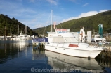 boat;boats;calm;calmness;fishing-boats;harbor;harbors;harbour;harbours;hull;hulls;launch;launches;marina;marinas;Marlborough;Marlborough-Sounds;mast;masts;New-Zealand;peaceful;peacefulness;Picton;port;ports;Queen-Charlotte-Sound;reflection;reflections;sail;sailing;South-Island;still;stillness;tranquil;tranquility;yacht;yachts