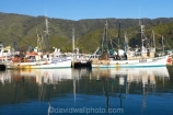 boat;boats;calm;calmness;commercial-fishing;commercial-fishing-boat;commercial-fishing-boats;fishing-boats;harbor;harbors;harbour;harbours;hull;hulls;launch;launches;marina;marinas;Marlborough;Marlborough-Sounds;mast;masts;moor;mooring;moorings;New-Zealand;peaceful;peacefulness;Picton;port;ports;Queen-Charlotte-Sound;reflection;reflections;South-Island;still;stillness;tranquil;tranquility