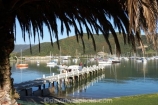 boat;boats;calm;calmness;fishing-boats;harbor;harbors;harbour;harbours;hull;hulls;jetties;jetty;launch;launches;marina;marinas;Marlborough;Marlborough-Sounds;mast;masts;moor;mooring;moorings;New-Zealand;palm;palm-tree;palm-trees;palms;peaceful;peacefulness;phoenix-palm;phoenix-palm-tree;phoenix-palm-trees;phoenix-palms;Picton;pier;piers;port;ports;Queen-Charlotte-Sound;reflection;reflections;sail;sailing;South-Island;still;stillness;tranquil;tranquility;Waikawa;Waikawa-Bay;waterside;wharf;wharfes;wharves;yacht;yachts
