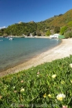 Marlborough;Marlborough-Sounds;New-Zealand;Picton;Queen-Charlotte-Sound;South-Island;Waikawa;Waikawa-Bay