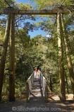 beautiful;beauty;Beech-Forest;boy;boys;bridge;bridges;bush;child;children;endemic;families;family;foot-bridge;foot-bridges;footbridge;footbridges;forest;forests;green;hiking-track;hiking-tracks;kid;kids;little-boy;little-boys;Marlborough;model-release;model-released;mother;mothers;N.Z.;native;native-bush;natives;natural;nature;New-Zealand;Nothofagus;NZ;pedestrian-bridge;pedestrian-bridges;Pelorus-Bridge;people;person;Rai-River;S.I.;scene;scenic;SI;son;South-Is.;South-Island;southern-beeches;suspension-bridge;suspension-bridges;swing-bridge;swing-bridges;track;tracks;tree;trees;walking-track;walking-tracks;wire-bridge;wire-bridges;wood;woods