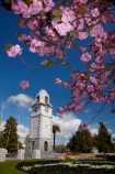 Blenheim;bloom;blooming;blooms;blossom;blossoming;blossoms;clock-tower;flower;flowers;fresh;grow;growth;heritage;historic;historic-place;historic-places;historic-site;historic-sites;historical;historical-place;historical-places;historical-site;historical-sites;history;Marlborough;memorial-clock-tower;N.Z.;New-Zealand;NZ;old;park;parks;renew;S.I.;season;seasonal;seasons;Seymore-Sq;Seymore-Square;Seymour-Square;SI;South-Is;South-Is.;South-Island;spring;spring-time;spring_time;springtime;Sth-Is;tradition;traditional;war-memorial-clock-tower