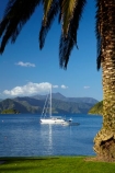 calm;Foreshore-Reserve;Marlborough;Marlborough-Sounds;moor;moored;mooring;moorings;N.Z.;New-Zealand;NZ;palm;palm-tree;palm-trees;palms;park;parks;Picton;Picton-Harbor;Picton-Harbour;placid;Queen-Charlotte-Sound;quiet;reflected;reflection;reflections;S.I.;sail-boat;sail-boats;sailboat;sailboats;serene;SI;smooth;South-Is;South-Island;Sth-Is;still;tranquil;water;yacht;yachts