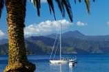 calm;Foreshore-Reserve;Marlborough;Marlborough-Sounds;moor;moored;mooring;moorings;N.Z.;New-Zealand;NZ;palm;palm-tree;palm-trees;palms;park;parks;Picton;Picton-Harbor;Picton-Harbour;placid;Queen-Charlotte-Sound;quiet;reflected;reflection;reflections;S.I.;sail-boat;sail-boats;sailboat;sailboats;serene;SI;smooth;South-Is;South-Island;Sth-Is;still;tranquil;water;yacht;yachts