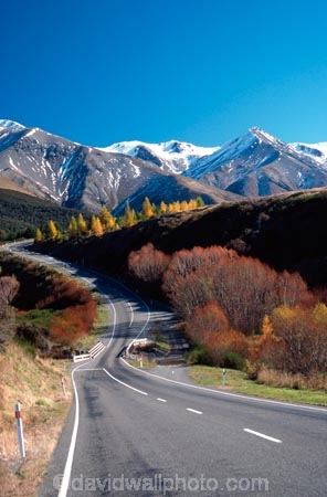 alpine;arthur-pass;arthurs-pass;color;colors;colour;colours;mountain;mountains;orange;red;roads;snow;transport;travel;tree;trees;yellow