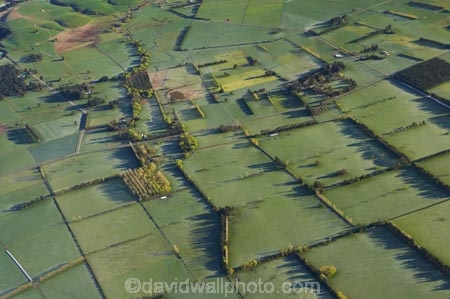 aerial;aerials;agricultural;agriculture;canterbury;cold;country;countryside;crop;crops;early;early-morning;farm;farming;farmland;farms;field;fields;freeze;frost;frostry;frosts;horticulture;meadow;meadows;morning;paddock;paddocks;pasture;pastures;peneplain;plain;plains;rural;shelter-belt;shelter-belts;shelter_belt;shelter_belts;shelterbelt;shelterbelts;sub_zero;wind-break;wind-breaks;wind_break;wind_breaks;windbreak;windbreaks