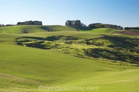 agricultural;agriculture;Canterbury;country;countryside;erosion;farm;farming;farmland;farms;field;fields;landslide;landslides;landslip;landslips;meadow;meadows;N.Z.;New-Zealand;NZ;paddock;paddocks;pasture;pastures;Pioneer-Trail;rural;S.I.;SI;slip;slips;South-Canterbury;South-Is;South-Island;subside;subsidence;subsidences;unstable-land