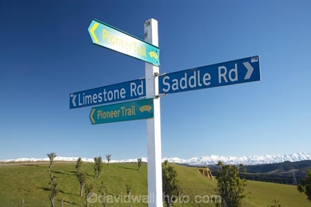agricultural;agriculture;cabbage-tree;cabbage-trees;Canterbury;Cordyline-australis;country;countryside;farm;farming;farmland;farms;field;fields;Limestone-Rd;Limestone-Road;meadow;meadows;N.Z.;New-Zealand;NZ;paddock;paddocks;pasture;pastures;Pioneer-Trail;rural;S.I.;Saddle-Rd;Saddle-Road;SI;sign;signpost;signposts;signs;South-Canterbury;South-Is;South-Island