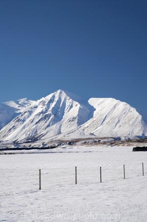 agricultural;agriculture;Canterbury;cold;country;countryside;farm;farming;farmland;farms;fence;fence-line;fence-lines;fence_line;fence_lines;fenceline;fencelines;fences;field;fields;Hakatere-Conservation-Park;meadow;meadows;Mid-Canterbury;Mount-Catherine;Mt-Catherine;Mt.-Catherine;N.Z.;New-Zealand;NZ;paddock;paddocks;pasture;pastures;rural;S.I.;season;seasonal;seasons;SI;snow;snowy;South-Is;South-Island;white;winter;wintery