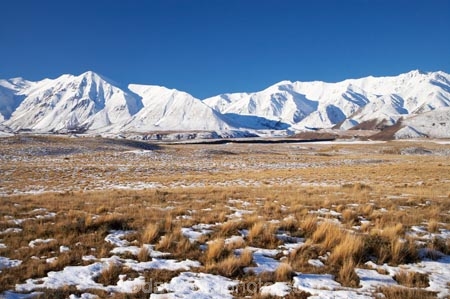 agricultural;agriculture;Canterbury;cold;country;countryside;farm;farming;farmland;farms;field;fields;Hakatere-Conservation-Park;meadow;meadows;Mid-Canterbury;Mount-Catherine;Mt-Catherine;Mt.-Catherine;N.Z.;New-Zealand;NZ;paddock;paddocks;pasture;pastures;rural;S.I.;season;seasonal;seasons;SI;snow;snowy;South-Is;South-Island;Taylor-Range;tussock;tussocks;white;winter;wintery