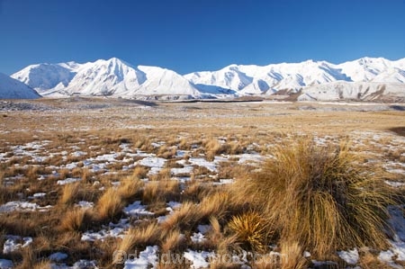 agricultural;agriculture;Canterbury;cold;country;countryside;farm;farming;farmland;farms;field;fields;Hakatere-Conservation-Park;meadow;meadows;Mid-Canterbury;Mount-Catherine;Mt-Catherine;Mt.-Catherine;N.Z.;New-Zealand;NZ;paddock;paddocks;pasture;pastures;rural;S.I.;season;seasonal;seasons;SI;snow;snowy;South-Is;South-Island;Taylor-Range;tussock;tussocks;white;winter;wintery