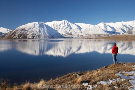 alone;calm;Canterbury;Canterbury-Foothills;cold;Hakatere-Conservation-Park;hike;hiker;hikers;hiking;lake;Lake-Heron;lakes;Mid-Canterbury;Mount-Catherine;Mount-Sugarloaf;Mt-Catherine;Mt-Sugarloaf;Mt.-Catherine;Mt.-Sugarloaf;N.Z.;New-Zealand;NZ;people;person;placid;quiet;reflection;reflections;S.I.;season;seasonal;seasons;serene;SI;single;smooth;snow;snowy;solo;South-Is;South-Island;still;Taylor-Range;tranquil;walk;walker;walkers;walking;water;white;winter;wintery;woman