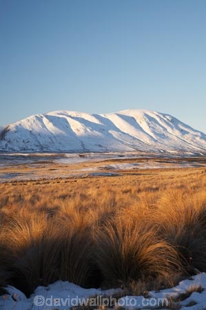 Canterbury;cold;Mid-Canterbury;Mount-Guy;Mt-Guy;Mt.-Guy;N.Z.;New-Zealand;NZ;S.I.;season;seasonal;seasons;SI;snow;snowy;South-Is;South-Island;tussock;tussocks;white;winter;wintery