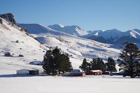 agricultural;agriculture;Arthurs-Pass-Road;Canterbury;Castle-Hill;Castle-Hill-Station;cold;country;countryside;farm;Farm-Building;Farm-Buildings;Farm-Shed;Farm-Sheds;farming;farmland;farms;field;fields;meadow;meadows;N.Z.;New-Zealand;NZ;paddock;paddocks;pasture;pastures;rural;S.I.;season;seasonal;seasons;sheep-station;SI;snow;snowy;South-Is;South-Island;State-Highway-73;State-Highway-Seventy-Three;white;winter;wintery