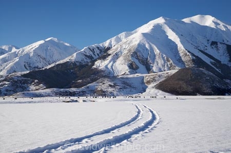 agricultural;agriculture;alp;alpine;alps;altitude;Arthurs-Pass-Road;Canterbury;cold;country;countryside;farm;farming;farmland;farms;field;fields;meadow;meadows;mount;Mount-Plenty;mountain;mountain-peak;mountainous;mountains;mt;Mt-Plenty;mt.;Mt.-Plenty;N.Z.;New-Zealand;NZ;paddock;paddocks;pasture;pastures;peak;peaks;range;ranges;rural;S.I.;season;seasonal;seasons;SI;snow;snow-capped;snow_capped;snowcapped;snowy;South-Is;South-Island;State-Highway-73;State-Highway-Seventy-Three;summit;summits;Torlesse-Range;track;tracks;white;winter;wintery