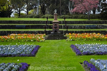 bloom;blooming;blooms;blossom;blossoming;blossoms;Botanic-Garden;Botanic-Gardens;Botanical-Garden;Botanical-Gardens;Canterbury;flower;flower-garden;flower-gardens;flowers;garden;gardens;N.Z.;New-Zealand;NZ;poppies;poppy;Queen-Victoria-Memorial;S.I.;season;seasonal;seasons;SI;South-Canterbury;South-Is;South-Is.;South-Island;spring;spring-time;spring_time;springtime;Sth-Is;Timaru;Timaru-Botanic-Garden;Timaru-Botanic-Gardens;Timaru-Botanical-Garden;Timaru-Botanical-Gardens;Timaru-Garden;Timaru-Gardens;tulip;tulips;Victoria-Memorial